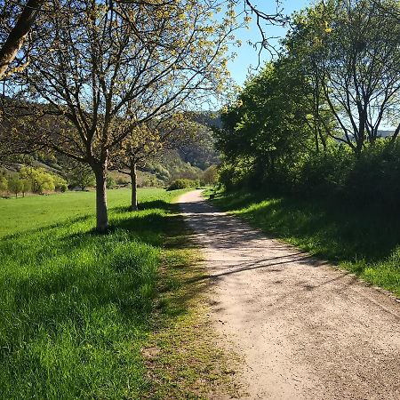 Ferienhaus Malefi 1 Am Guelser Moselbogen Koblenz  Luaran gambar